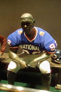 Pro Football Hall of Fame 52.JPG